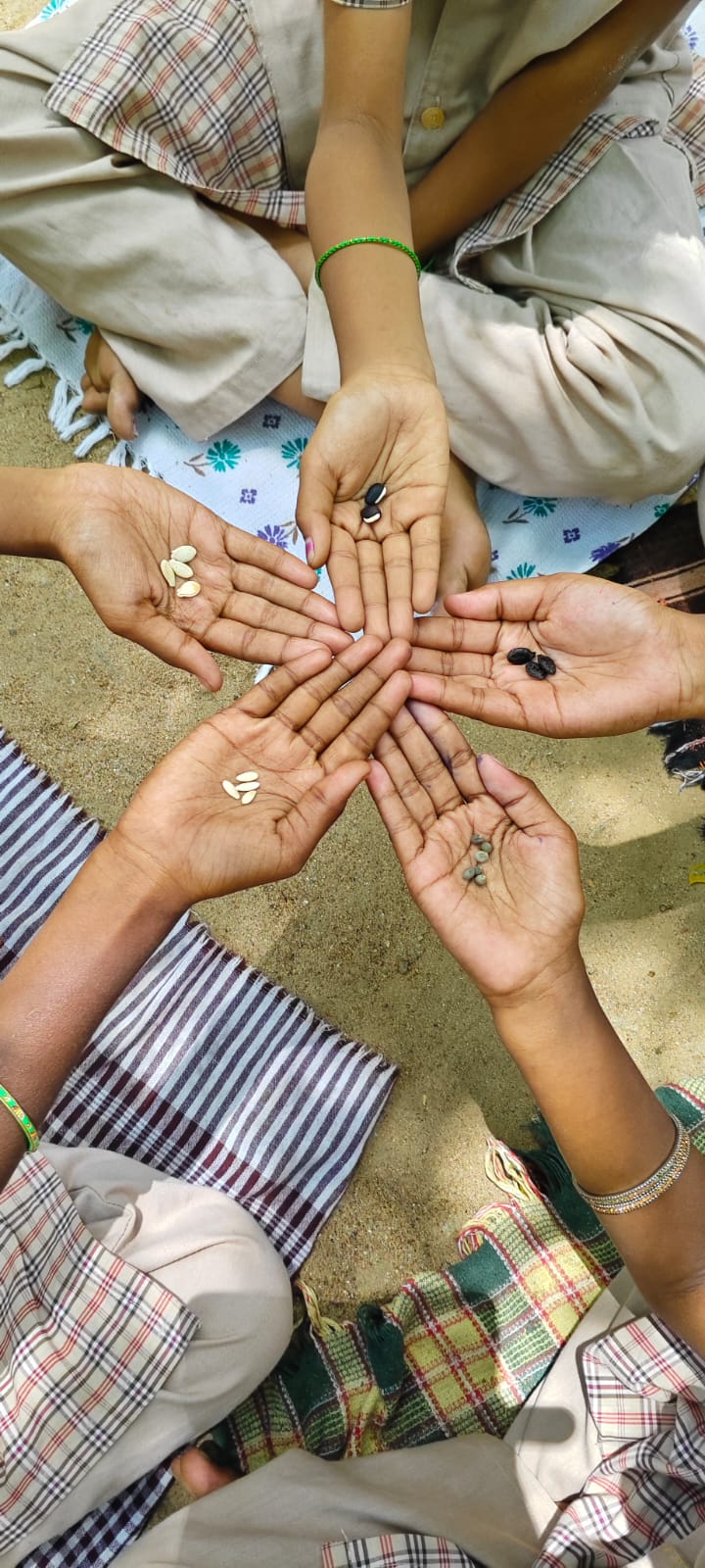 Agriculture Development